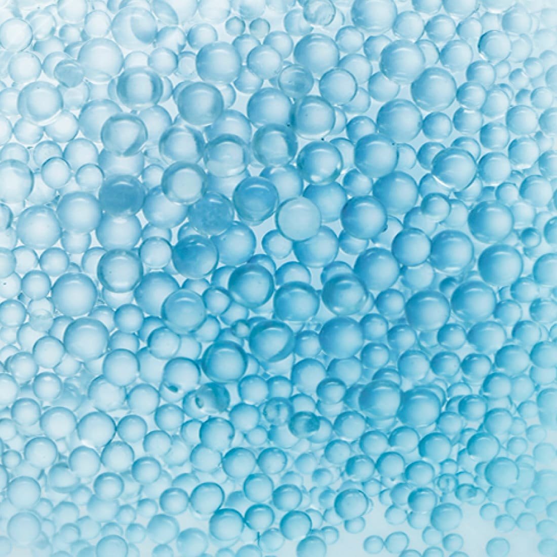 Probiotic fractions 5%