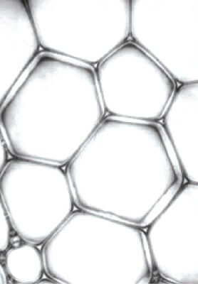 เรสเวอราทรอล