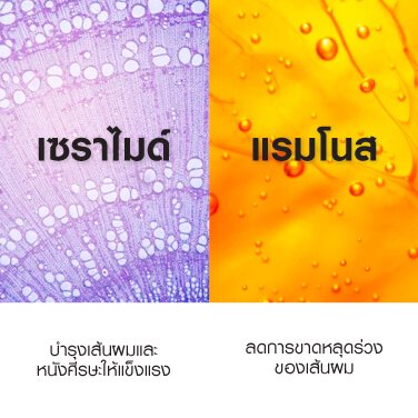 densi-solutions-thinning-weak-hair-pack4