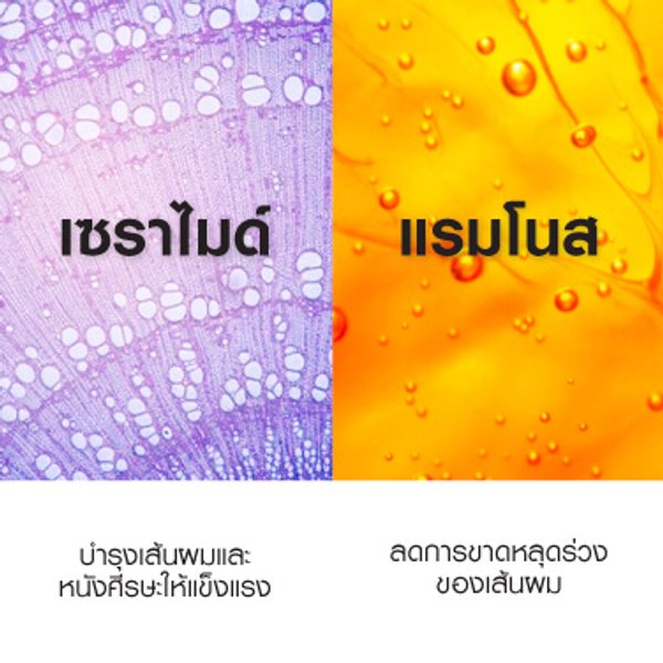 densi-solutions-thinning-weak-hair-pack4