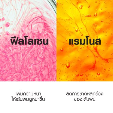 densi-solutions-thinning-weak-hair-pack4