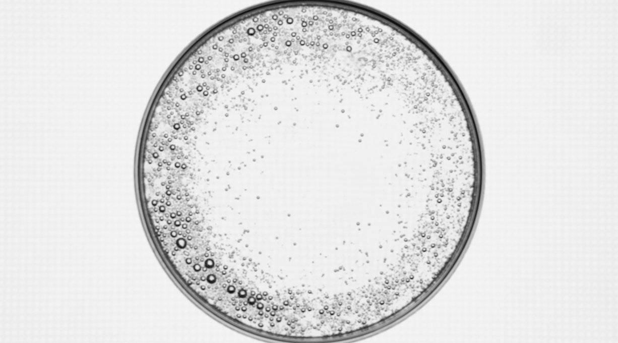 ซาลิไซลิก แอซิด (Salicylic Acid)