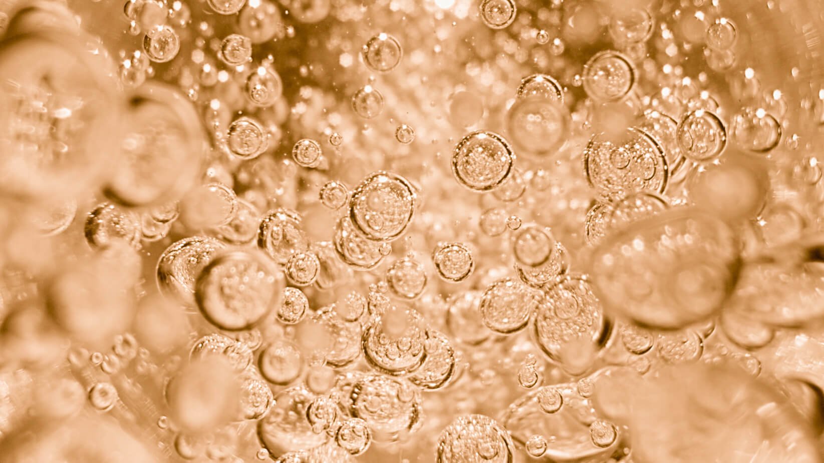 วิตามินซี (Vitamin C)